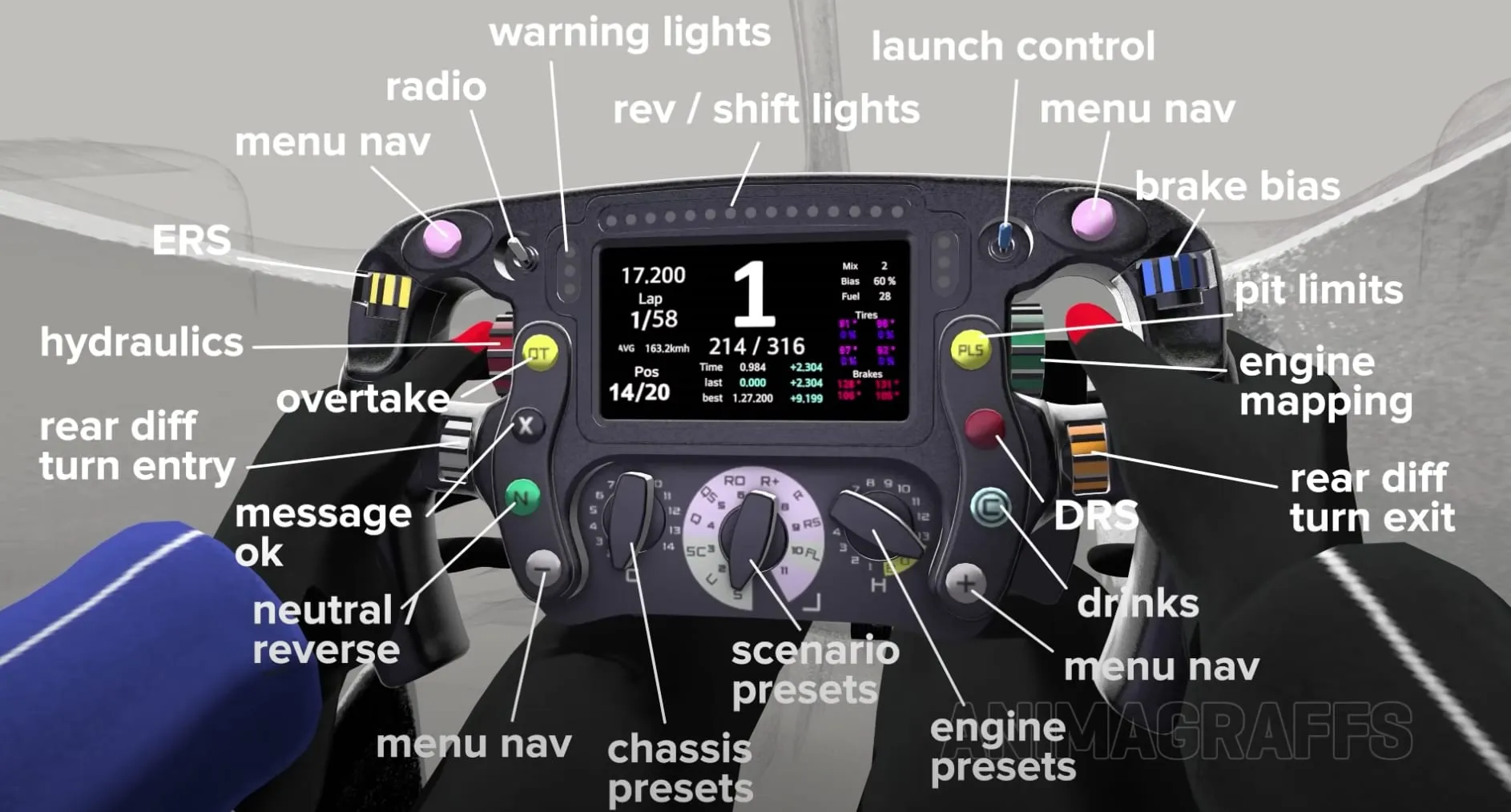 picture F1 入門指南
